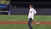 New York Yankees Sport GIF by MLB