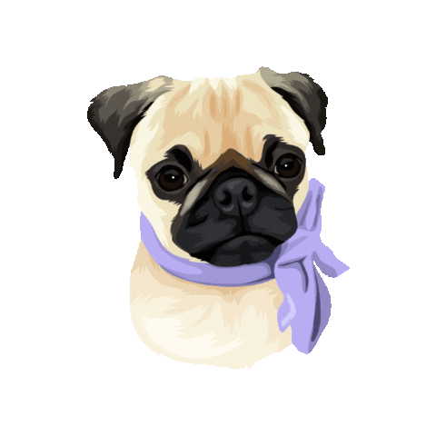 Puppy Pug Sticker by Pickle's Pawtraits