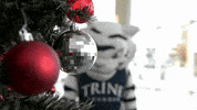 TrineUniversity storm trine university trineu GIF