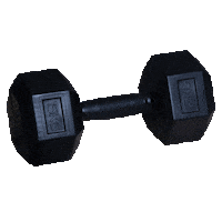fitness italia Sticker