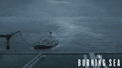 Film Fire GIF by Magnolia Pictures