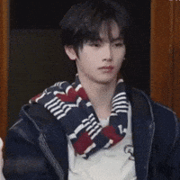 Kitten Cutie GIF