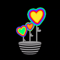 Flowers Love GIF