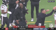 National Football League GIF by NFL