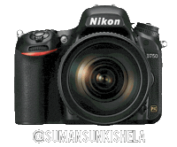 Nikoninstabadge D750 Sticker by NikonIndia