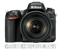 Nikoninstabadge D750 Sticker by NikonIndia