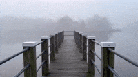 Hazy Fog Shrouds Cape Cod
