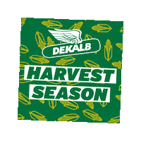 Corn Harvest Sticker by DEKALB Asgrow Deltapine