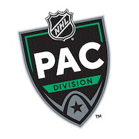 All Star Game Division Sticker by NHL