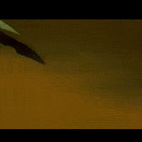 redguy5758 meme jojo umamusume stardust crusaders GIF