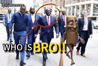 Triple T Who Is That GIF
