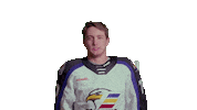 Sticker by Colorado Eagles
