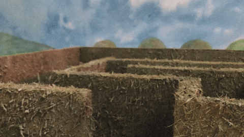 dustintimbrook giphygifmaker tiger stopmotion claymation GIF