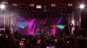 big weekend middlesbrough GIF by BBC Radio 1