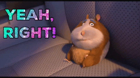 No Way Please GIF by The Animal Crackers Movie