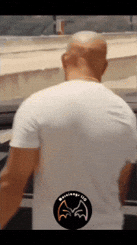 Feliz Amigos GIF by Murcianys LLC