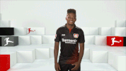 happy bayer leverkusen GIF by Bundesliga