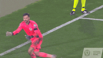Euro 2020 Football GIF by Scotland National Team