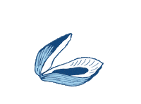 Summer Water Sticker by bartacolife