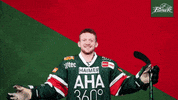 Hockey Del GIF by Augsburger Panther Eishockey GmbH