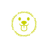 Cat Dog Sticker by Petland Brasil