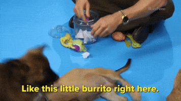 This Little Burrito