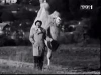 GIF by TVP.PL