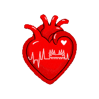Heart Cardio Sticker by stad Leuven