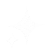 Shine Brillo Sticker