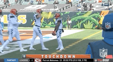 National Football League GIF by NFL