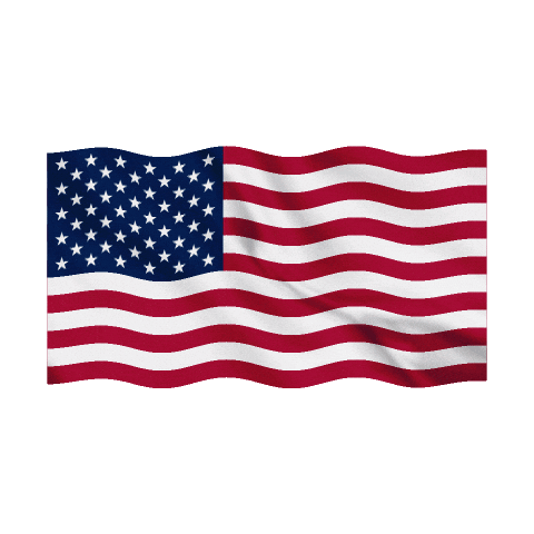Sticker Usa Sticker