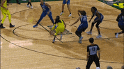 Womens Basketball Sport GIF by WNBA