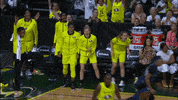 Womens Basketball Sport GIF by WNBA
