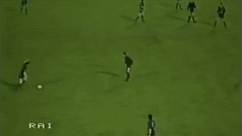 denisromantsov giphyupload GIF