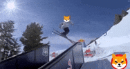 Shib Coin GIF by SHIB MEMES
