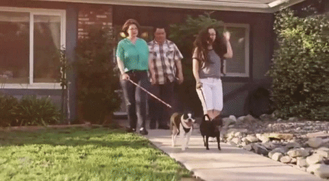 dog walking GIF by America's Got Talent