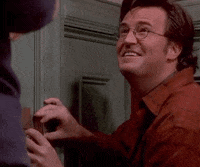 friends friends friends tv the one with the secret closet GIF