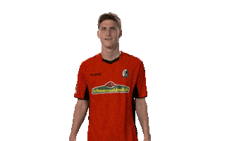 happy roland sallai Sticker by Bundesliga
