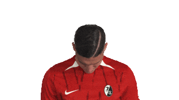 Look Up Sc Freiburg Sticker by Bundesliga