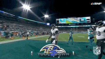 National Football League GIF by NFL