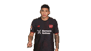 Bayer Leverkusen Sticker by Bundesliga