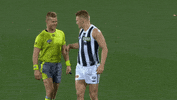 afl magpies GIF by CollingwoodFC