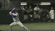 Baton Rouge Baseball GIF by LSU Tigers