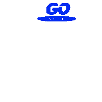 Register To Vote Election 2020 Sticker by #GoVote