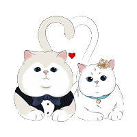 In Love Britishcat Sticker by British cats cattery and Apollo cat.