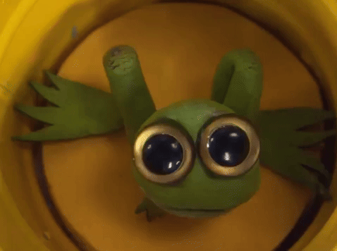 Frog in bucket