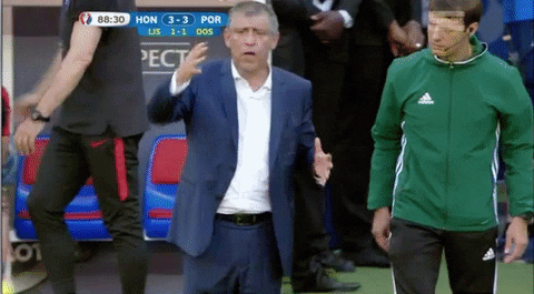 euro 2016 GIF by Sporza