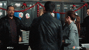 Organized Crime Hug GIF by Law & Order
