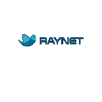 Sticker by RAYNET