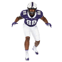 louisiana lynn Sticker by TCU Football